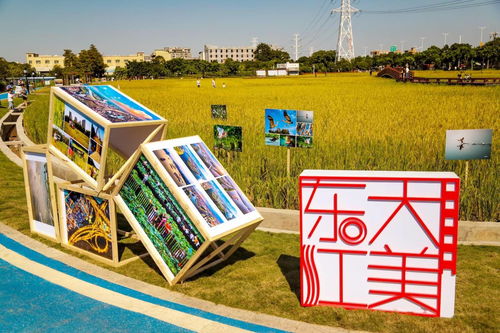 文藝矩陣賦能東莞 以原創(chuàng)力提升品質(zhì)文化之都